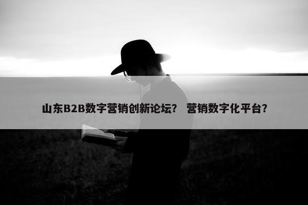 山东B2B数字营销创新论坛？ 营销数字化平台？