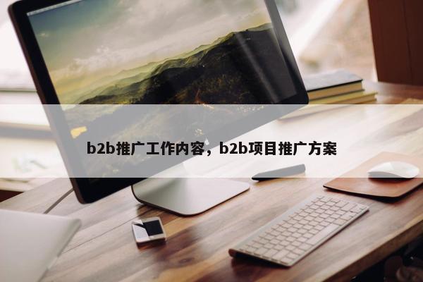 b2b推广工作内容，b2b项目推广方案