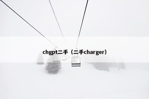 chgpt二手（二手charger）