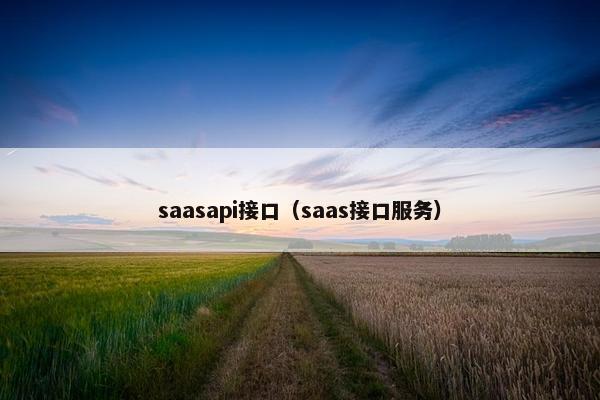 saasapi接口（saas接口服务）