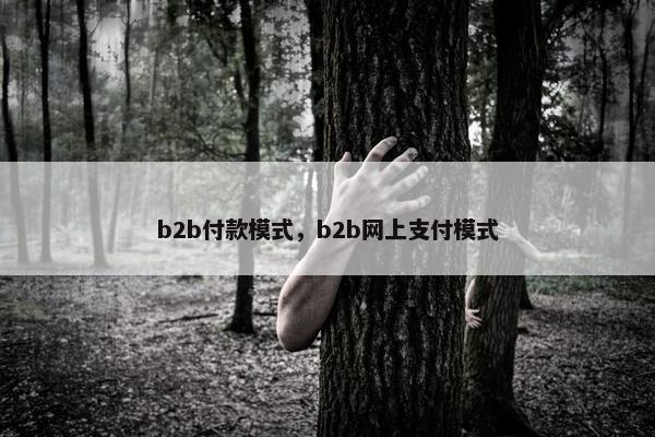 b2b付款模式，b2b网上支付模式