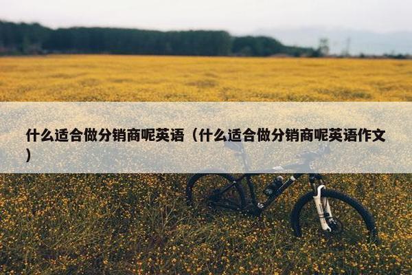什么适合做分销商呢英语（什么适合做分销商呢英语作文）