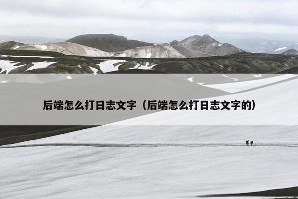 后端怎么打日志文字（后端怎么打日志文字的）