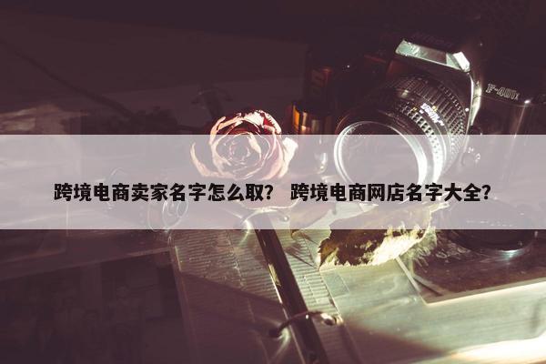 跨境电商卖家名字怎么取？ 跨境电商网店名字大全？