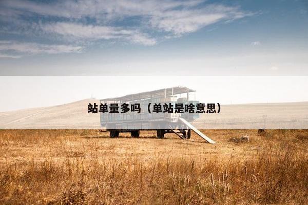站单量多吗（单站是啥意思）