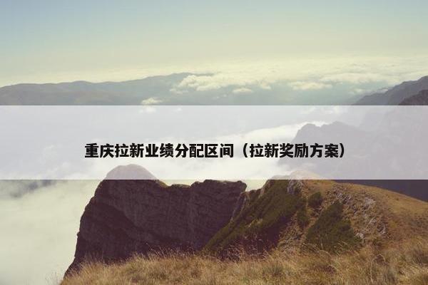 重庆拉新业绩分配区间（拉新奖励方案）