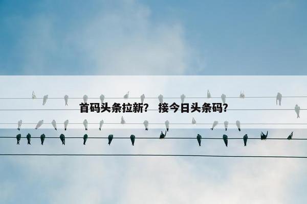 首码头条拉新？ 接今日头条码？