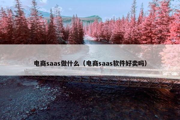 电商saas做什么（电商saas软件好卖吗）