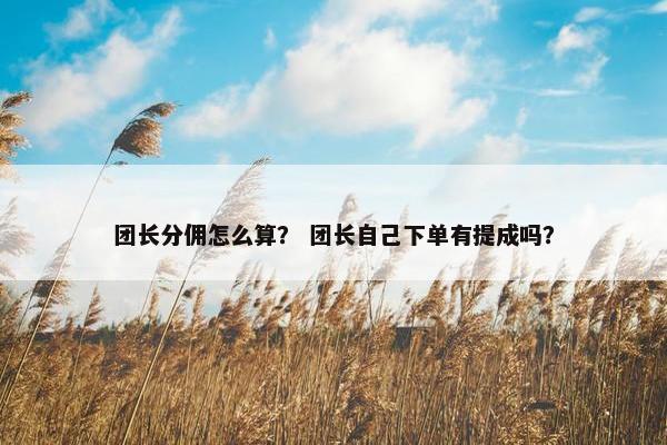 团长分佣怎么算？ 团长自己下单有提成吗？