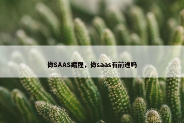 做SAAS编程，做saas有前途吗