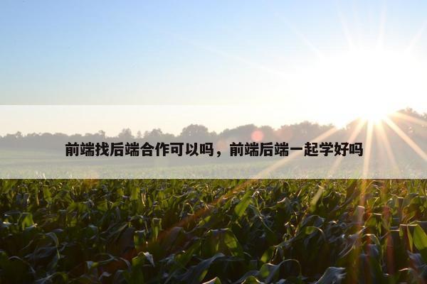 前端找后端合作可以吗，前端后端一起学好吗