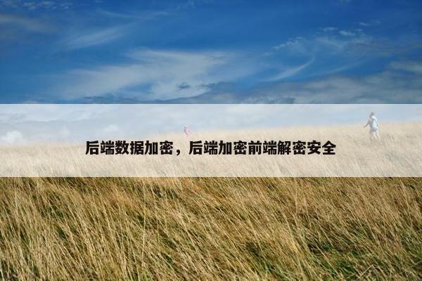 后端数据加密，后端加密前端解密安全