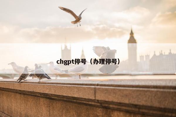 chgpt停号（办理停号）