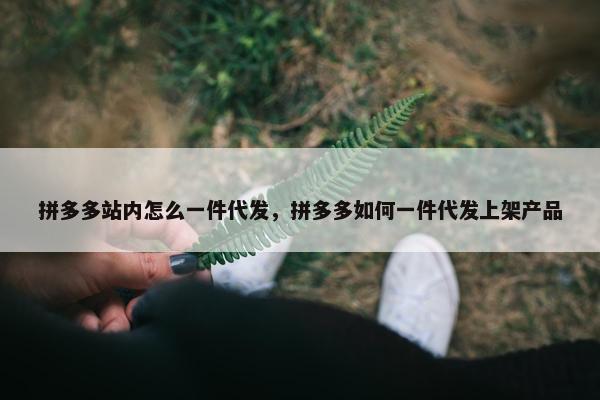 拼多多站内怎么一件代发，拼多多如何一件代发上架产品