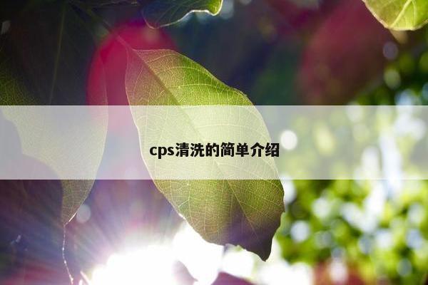 cps清洗的简单介绍