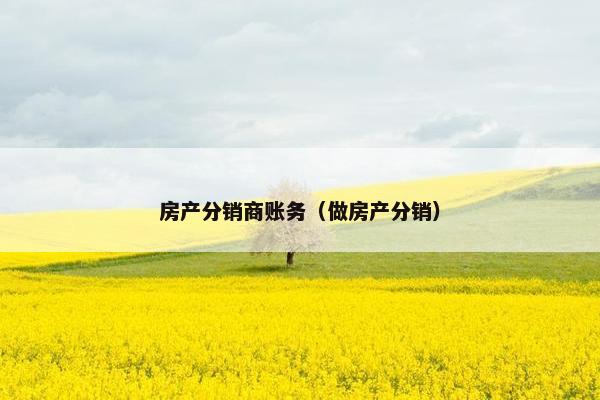 房产分销商账务（做房产分销）