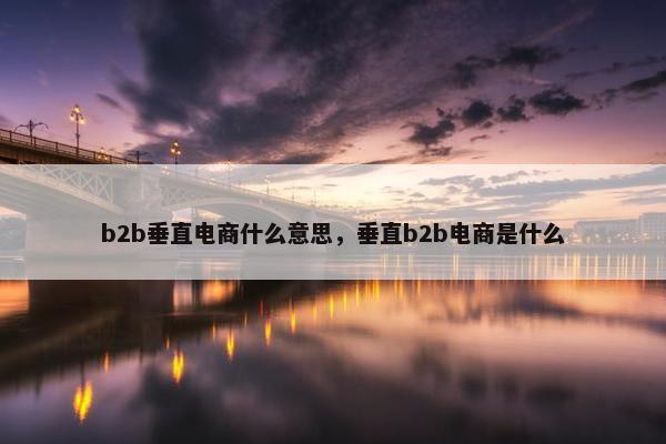 b2b垂直电商什么意思，垂直b2b电商是什么