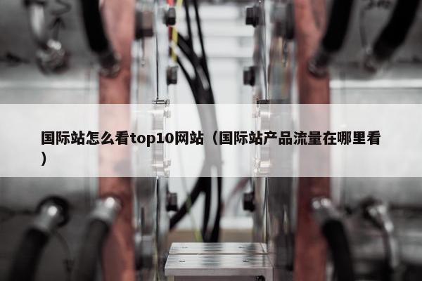 国际站怎么看top10网站（国际站产品流量在哪里看）