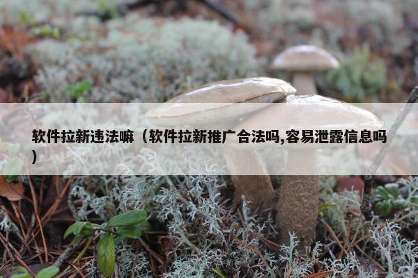 软件拉新违法嘛（软件拉新推广合法吗,容易泄露信息吗）