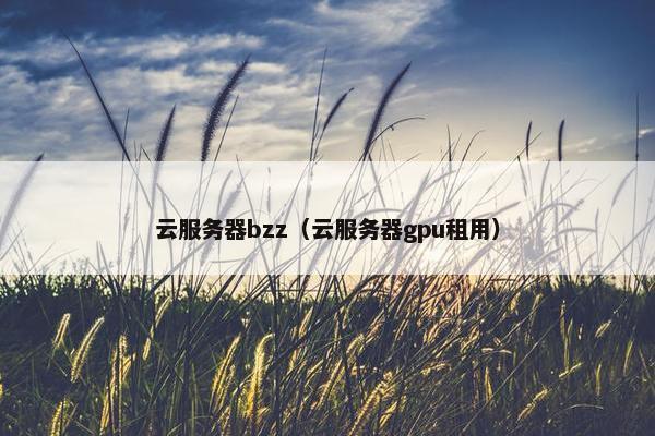 云服务器bzz（云服务器gpu租用）