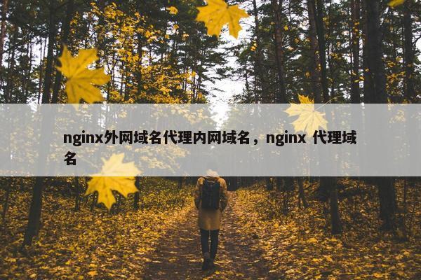 nginx外网域名代理内网域名，nginx 代理域名