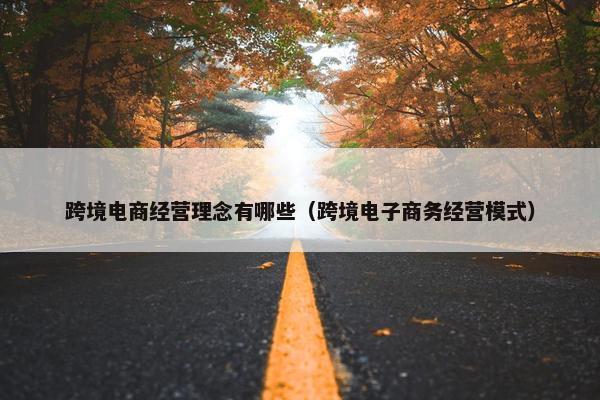 跨境电商经营理念有哪些（跨境电子商务经营模式）