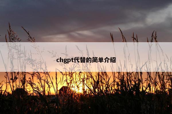 chgpt代替的简单介绍