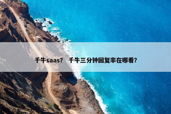 千牛saas？ 千牛三分钟回复率在哪看？