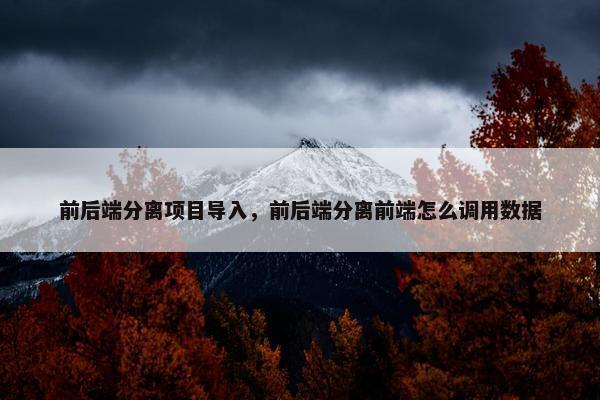 前后端分离项目导入，前后端分离前端怎么调用数据