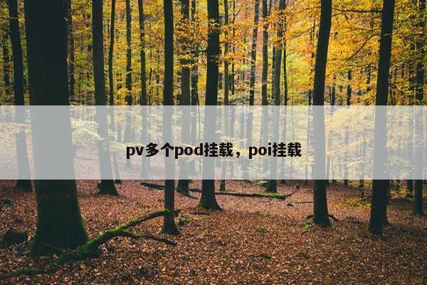 pv多个pod挂载，poi挂载