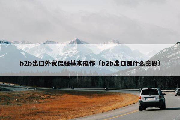 b2b出口外贸流程基本操作（b2b出口是什么意思）