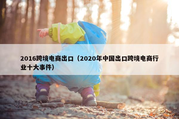 2016跨境电商出口（2020年中国出口跨境电商行业十大事件）
