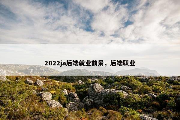 2022ja后端就业前景，后端职业