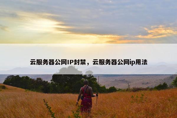 云服务器公网IP封禁，云服务器公网ip用法