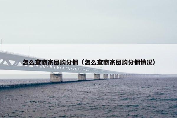 怎么查商家团购分佣（怎么查商家团购分佣情况）