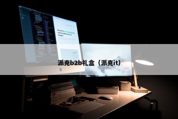 派克b2b礼盒（派克it）