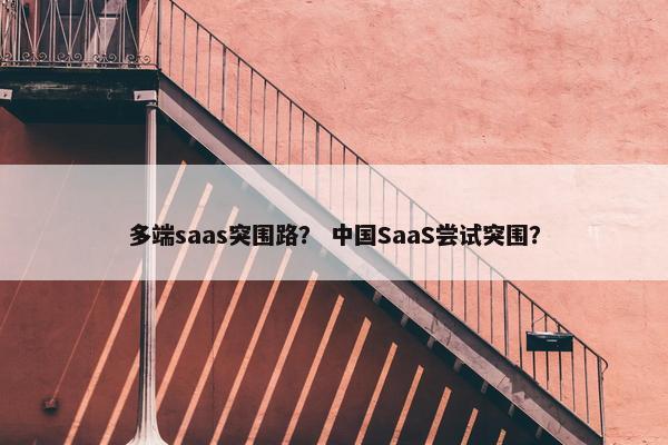 多端saas突围路？ 中国SaaS尝试突围？