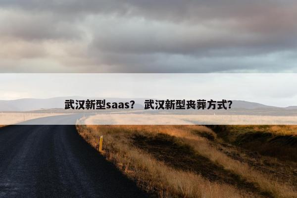 武汉新型saas？ 武汉新型丧葬方式？