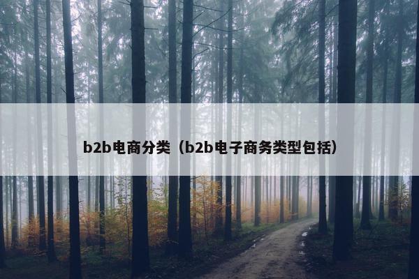 b2b电商分类（b2b电子商务类型包括）