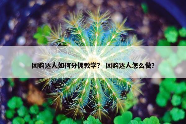 团购达人如何分佣教学？ 团购达人怎么做？