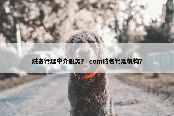 域名管理中介服务？ com域名管理机构？