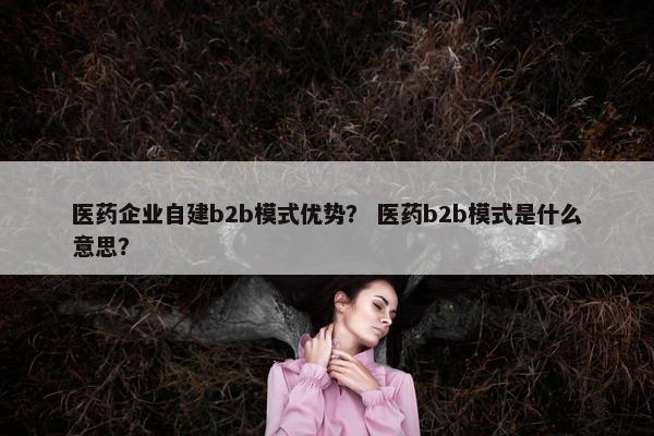 医药企业自建b2b模式优势？ 医药b2b模式是什么意思？