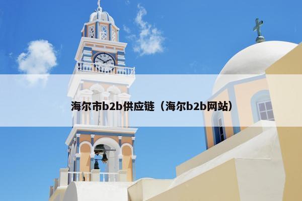 海尔市b2b供应链（海尔b2b网站）