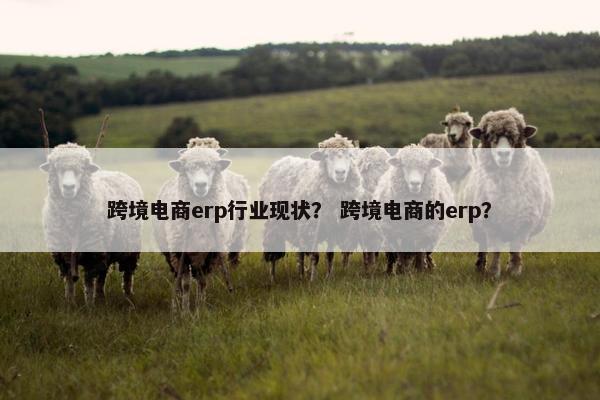 跨境电商erp行业现状？ 跨境电商的erp？