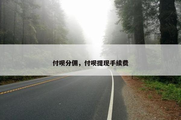 付呗分佣，付呗提现手续费