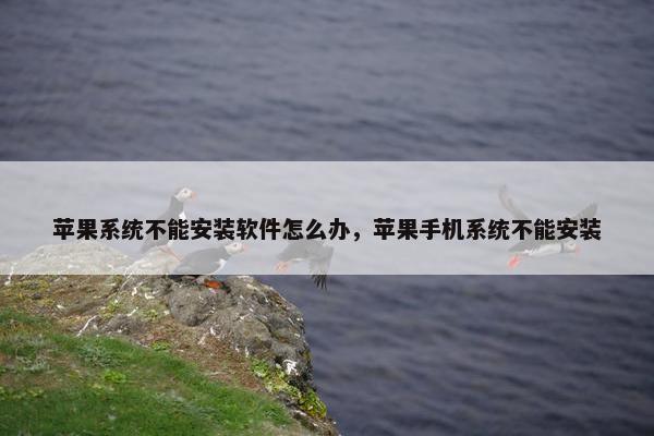 苹果系统不能安装软件怎么办，苹果手机系统不能安装