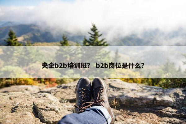 央企b2b培训班？ b2b岗位是什么？
