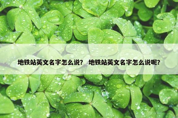地铁站英文名字怎么说？ 地铁站英文名字怎么说呢？
