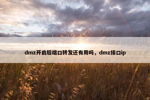 dmz开启后端口转发还有用吗，dmz接口ip