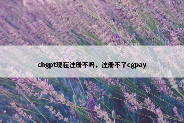chgpt现在注册不吗，注册不了cgpay